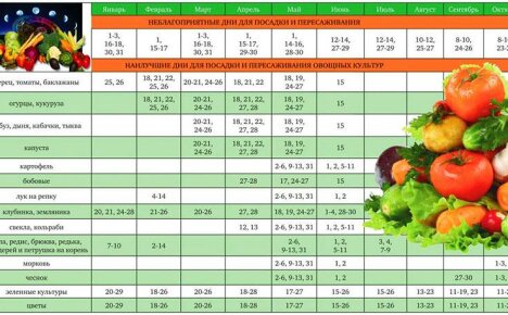 วิธีใช้ปฏิทินจันทรคติ: คำแนะนำที่สำคัญ