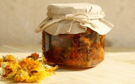 การทำ Calendula macerate