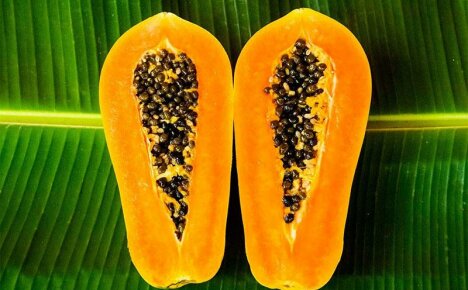 Helsemessige fordeler av Papaya