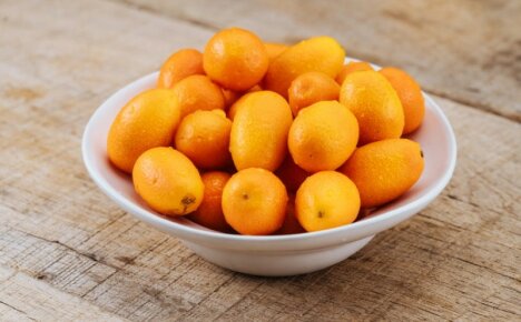 Kinesisk eple eller kumquat - hva slags frukt er det og hva du skal gjøre med det