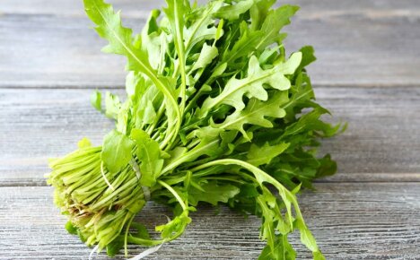 arugula คืออะไรและกินอย่างไร - ทำความรู้จักกับเครื่องเทศลึกลับ