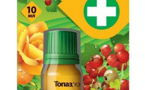 Fungicide Topaz: instrukcje dotyczące stosowania produktu w różnych kulturach