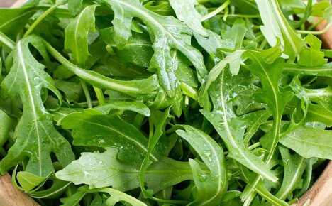 วิธีบันทึก arugula สำหรับฤดูหนาวโดยใช้วิธีที่ง่ายและสะดวก