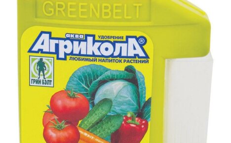 Jak stosować nawóz Agricola vegeta na rabatach iw ogrodzie kwiatowym