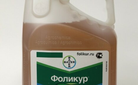 Fungicide Folicur - การใช้ยาเฉพาะในการรักษาและกระตุ้นการเจริญเติบโตของพืช