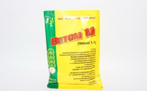 Vetom 1.1 for dyr - instruksjoner for bruk av immunstimulerende middel