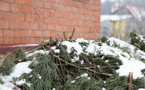 Blomsterarbeid for sjelen når januar er utenfor vinduet