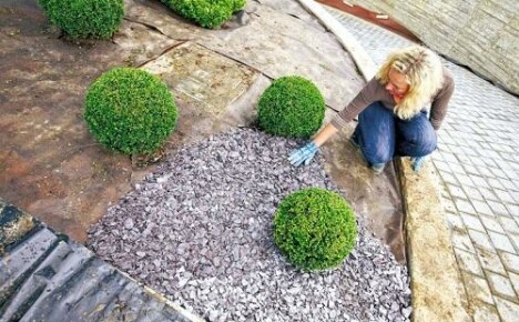 Krok za krokem doporučení, jak udělat štěrkovou postel v zemi vlastními rukama