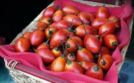 Tamarillo คืออะไรและมันคืออะไร