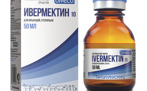 คำแนะนำโดยละเอียดสำหรับการใช้ Ivermectin ในสัตวแพทยศาสตร์