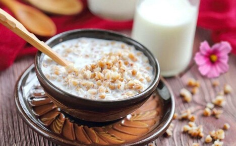 Hvor nyttig er bokhvete med melk for helsen vår