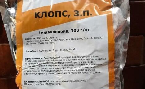 Insecticide Klops to wysoce skuteczny środek opatrunkowy kontaktowo-jelitowy