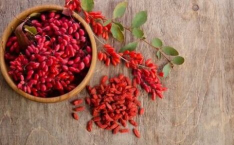 การใช้ barberry ในการปรุงอาหาร - ผลเบอร์รี่แสนอร่อยและดีต่อสุขภาพและไม่เพียงเท่านั้น