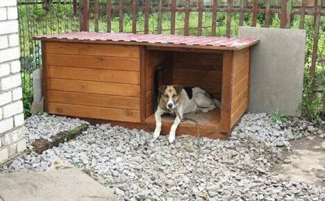 DIY hundekiosk