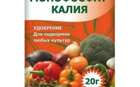 Aplikace hnojiva na bázi monofosforečnanu draselného ke zvýšení výnosů