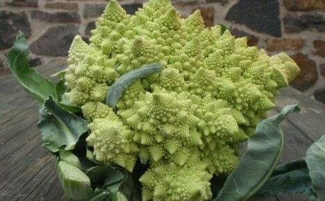 วิธีการปรุงอาหาร Romanesco ให้อร่อย - สูตรกะหล่ำปลียอดนิยมของชาวโรมัน