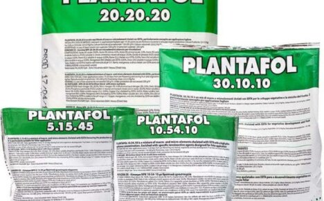 คำแนะนำสำหรับการใช้ Plantafol เพื่อโภชนาการของพืช