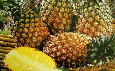 Hvordan dyrkes ananas på plantasjene i Costa Rica?