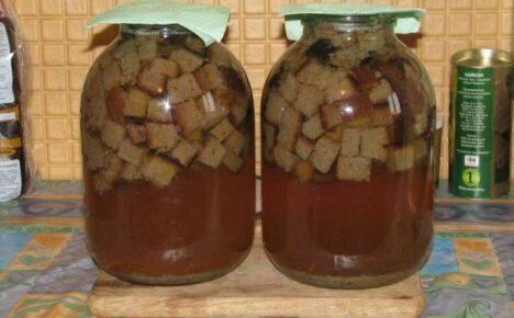 Hvordan lage kvass fra kjeks - hemmelighetene til en deilig hjemmelaget drink