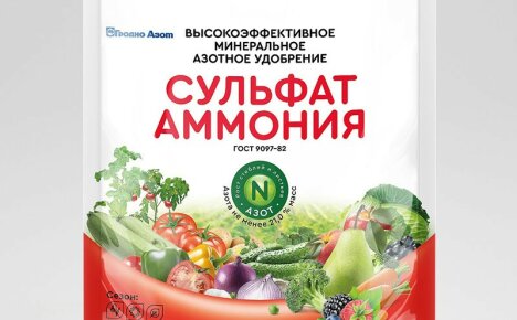 Правила за използване в градината и в градината тор амониев сулфат