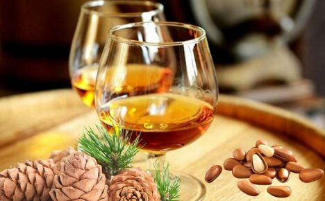 Ganap na papalitan nito ang cognac sa maligaya na mesa - bodka sa mga pine nut, resipe