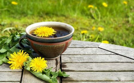 Ano ang mga pakinabang ng pag-inom ng dandelion tea?