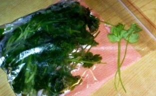 Kako zamrznuti cilantro za zimu tako da zadrži sve vitamine?