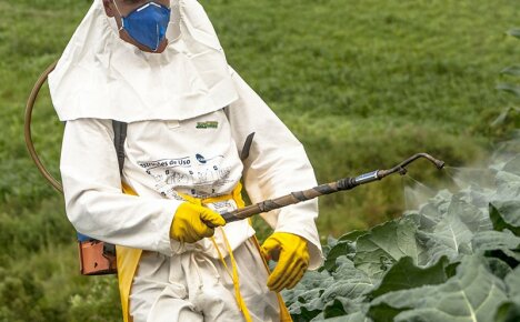 Farlige effekter av plantevernmidler på menneskekroppen og måter å løse problemet på