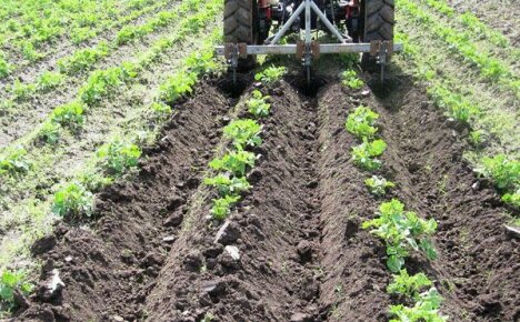 Enheten og applikasjonen av en hiller for en bak-bak traktor i en sommerhytte