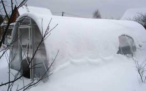 Viktig januararbeid i drivhuset og i sengene