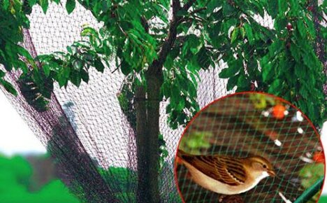 Bird & Insect Net laget i Kina