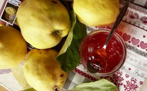 Quince ว่างสำหรับฤดูหนาว - สูตรอาหารที่อร่อยที่สุด