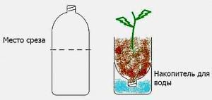 pionowy kwietnik wykonany z plastikowych butelek