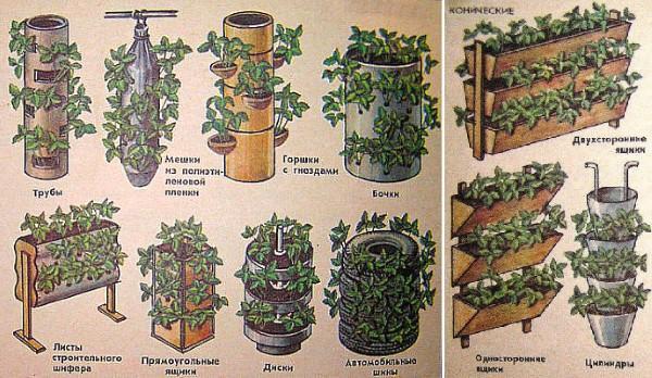 alternativer for vertikale blomsterbed