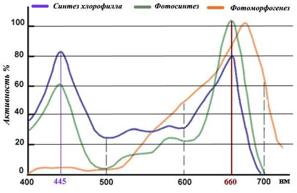 แปลงประสิทธิภาพสเปกตรัมสำหรับต้นกล้า