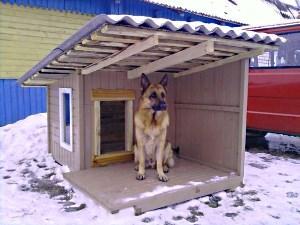 Doghouse