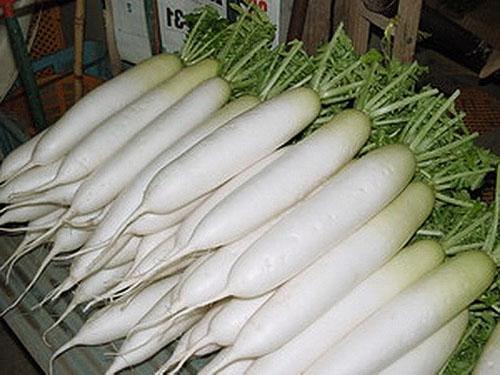 Реколта от репички Daikon