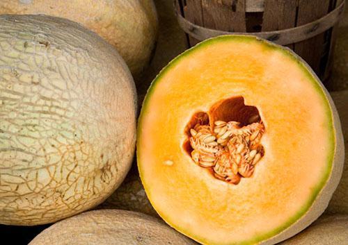 Do zamrażania wybierz słodki aromatyczny melon