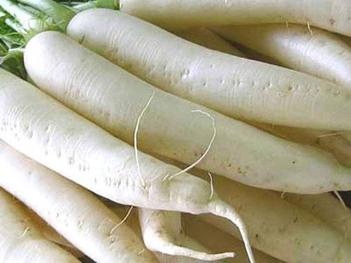 Rzodkiewka Daikon