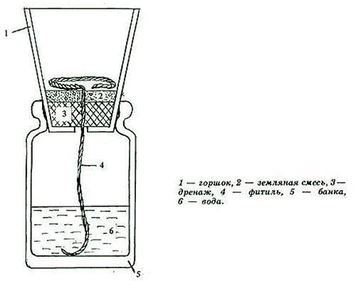 Schemat nawadniania knota