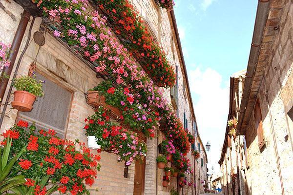 Elewację budynku zdobi pelargonia