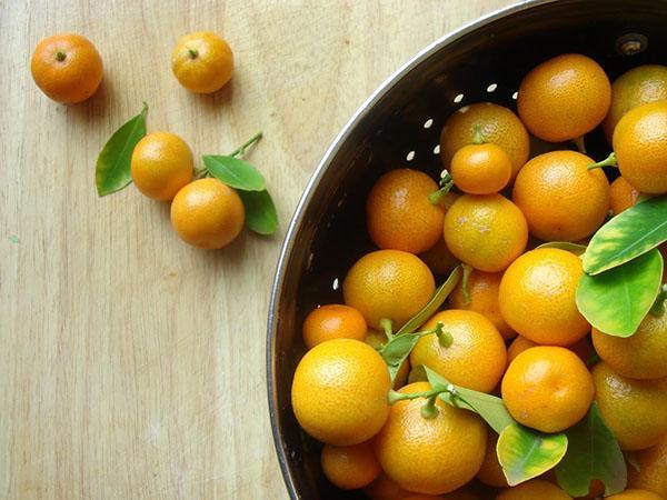 Calamondin ovoce