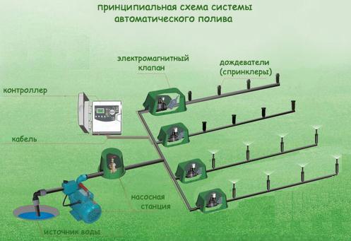 Automatyczny system podlewania