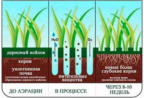 Pros provzdušňování trávníku