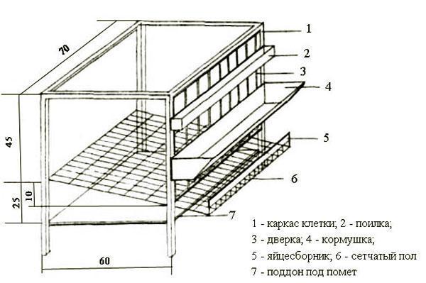 Design klece pro chov slepic