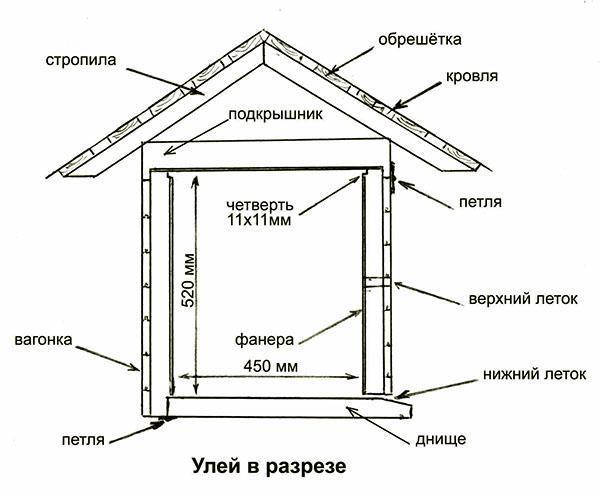 แผนผังแสดงรัง