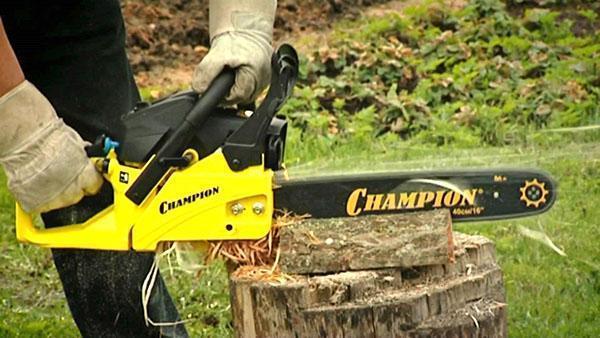 Spolehlivý pomocník letního obyvatele Champion Chainsaw Champion