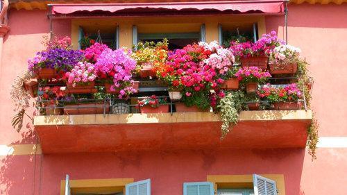 Luksuzni balkon s petunijama