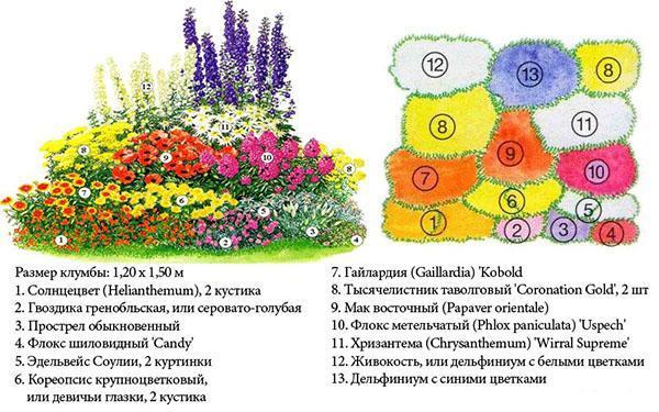 โครงการสวนดอกไม้หมายเลข 2