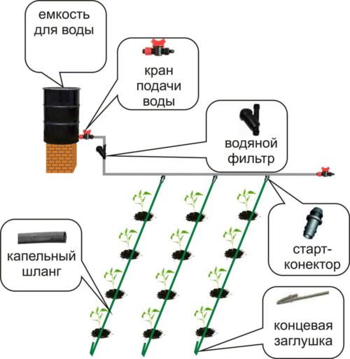 Schemat nawadniania kropelkowego